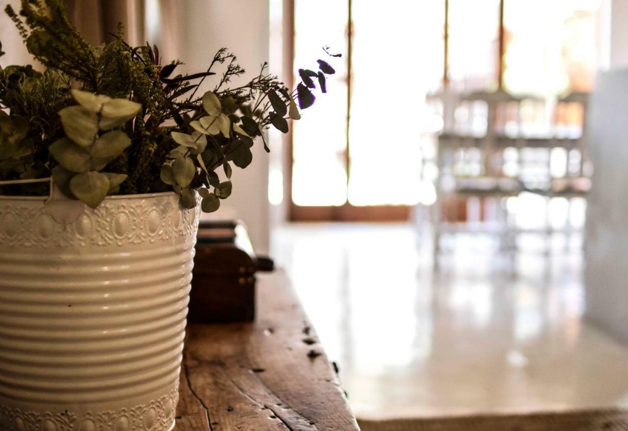 Appartamento @Mango'S Beaufort West Esterno foto